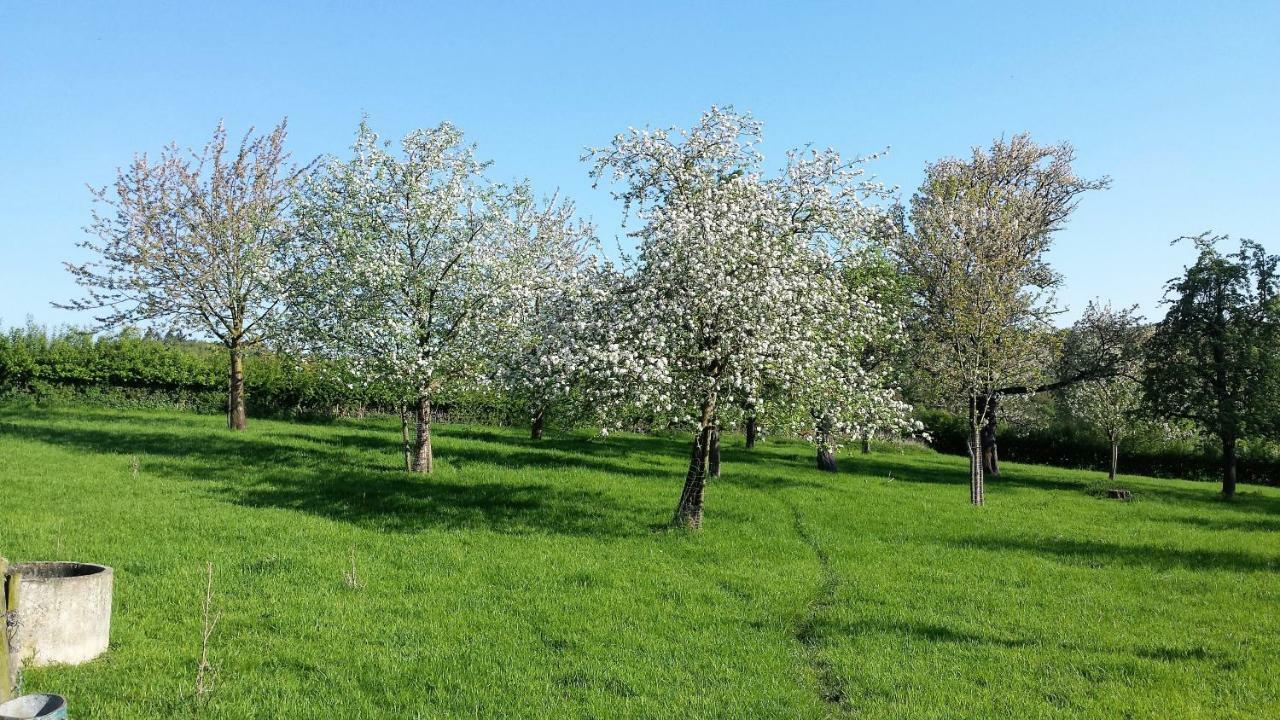 Hoeve Schevey メッヘレン エクステリア 写真